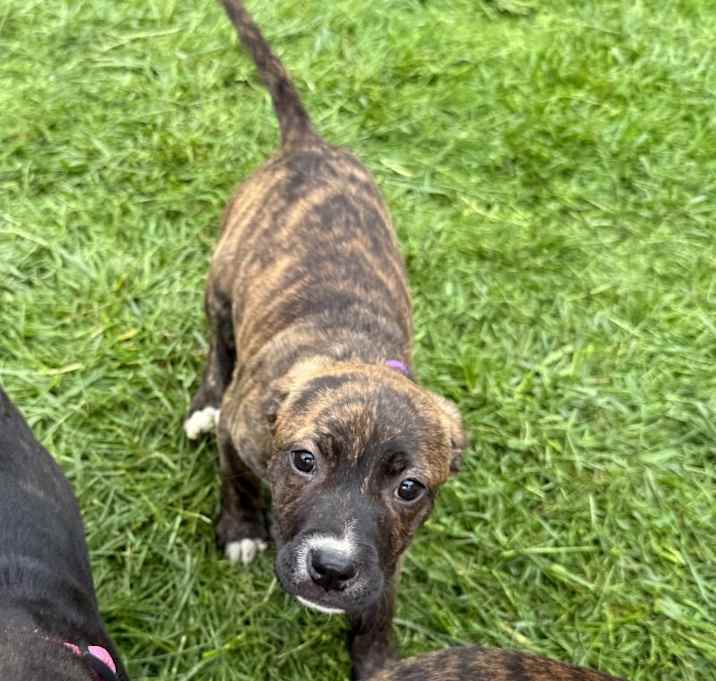 Photo of Baby Ruth