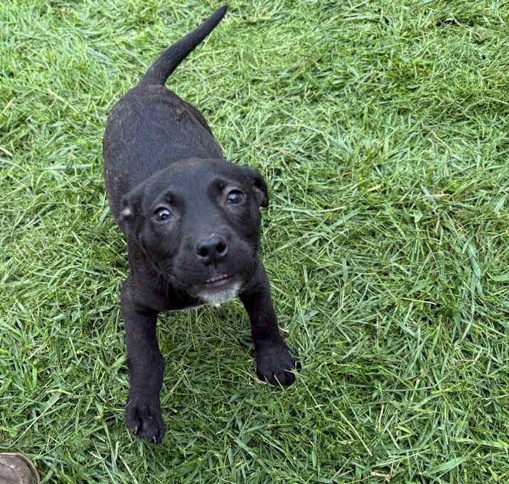 Photo of Sugar Baby