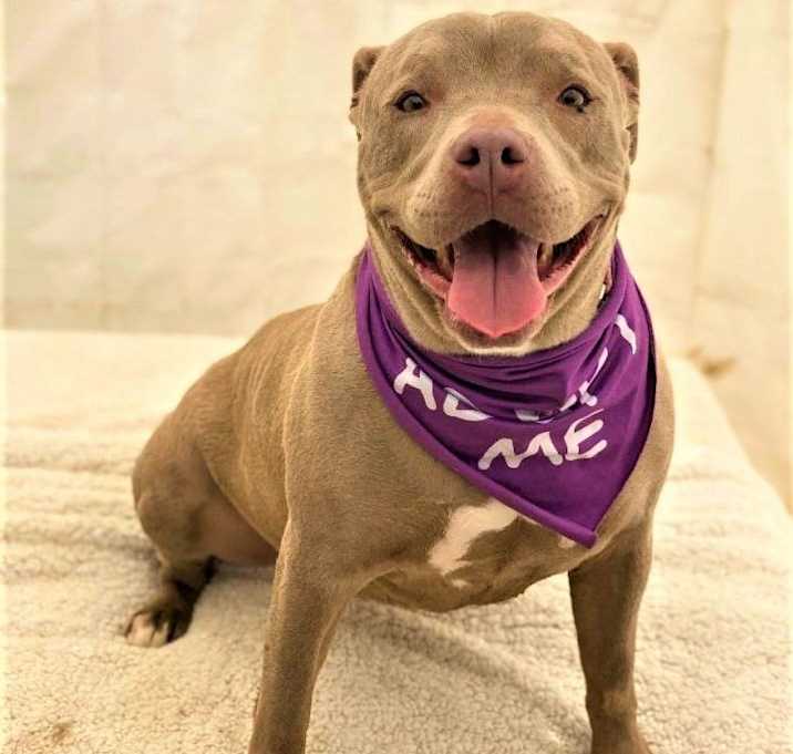 Photo of NALA