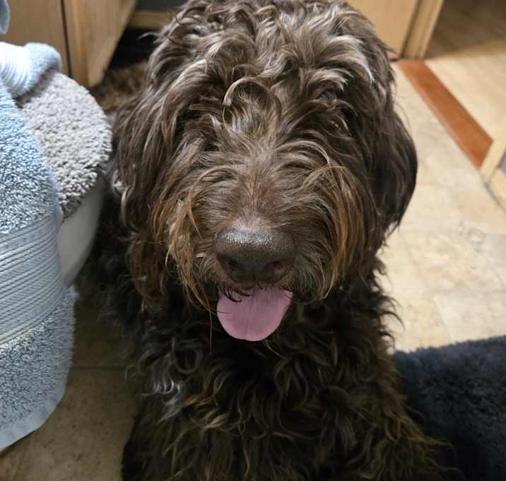 Photo of Remington