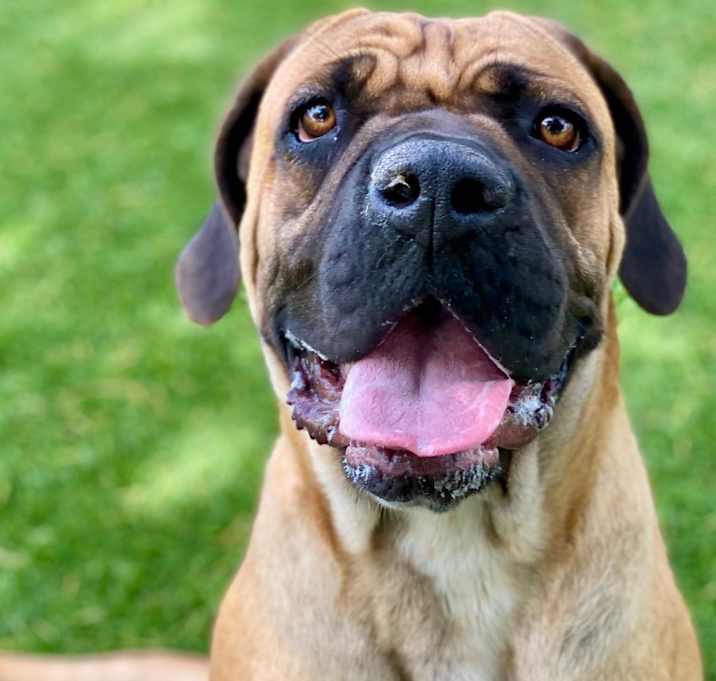 Photo of Matilda