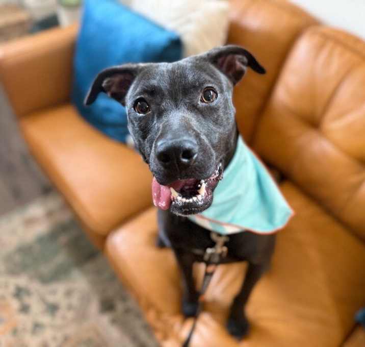 Photo of Coraline