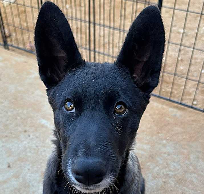 Photo of TINK