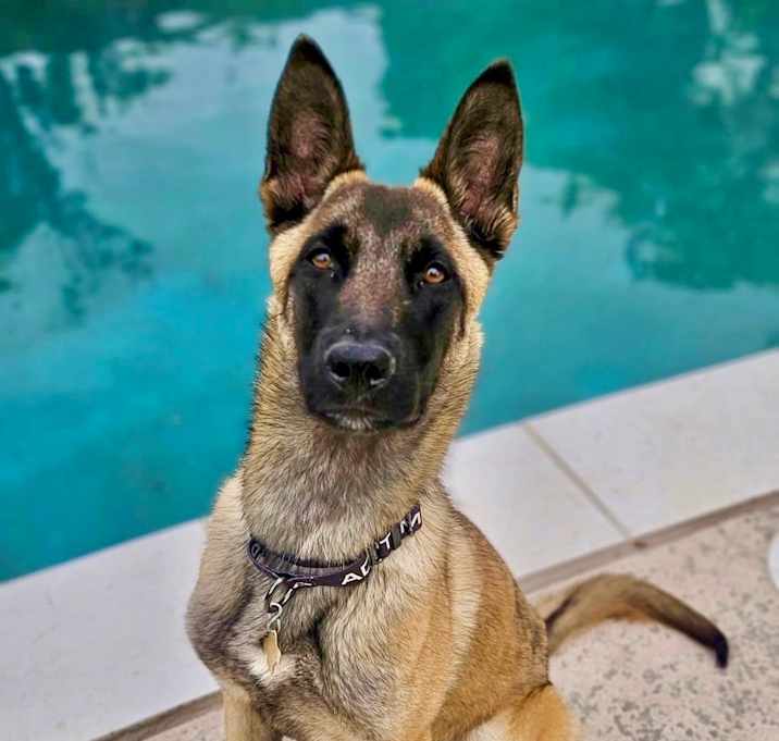 Photo of CIRCE