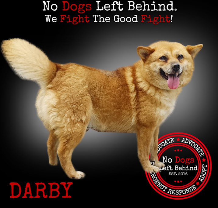 Photo of Darby 7775