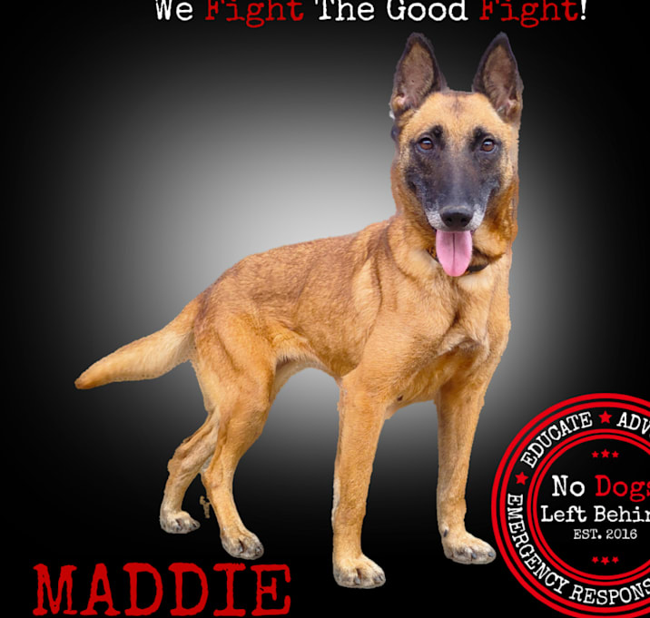 Photo of Maddie 9772