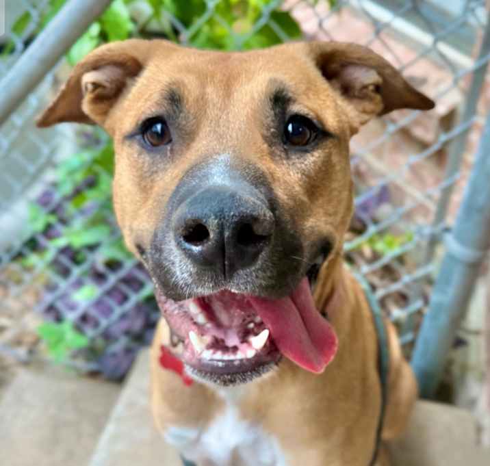 Photo of Daisy Mae