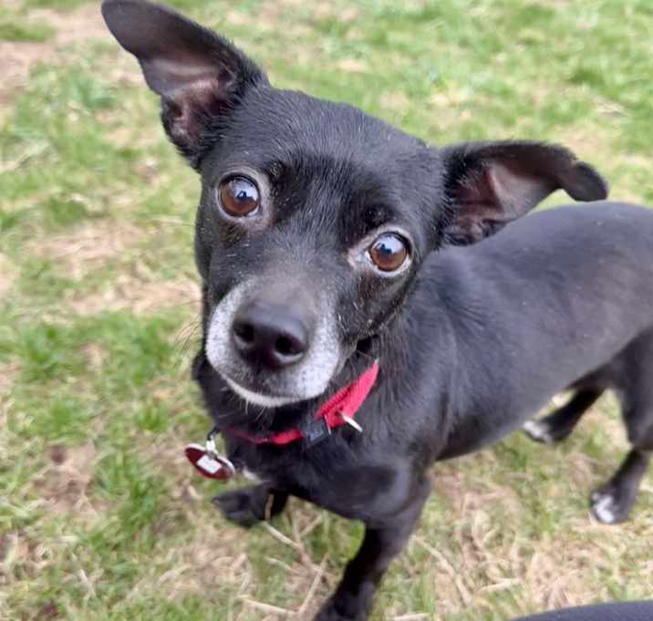 Photo of Nora