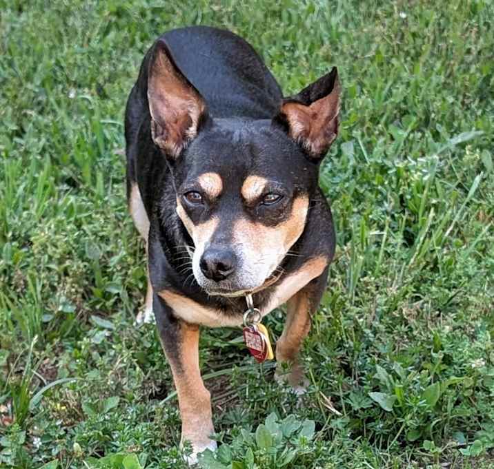 Photo of Immie