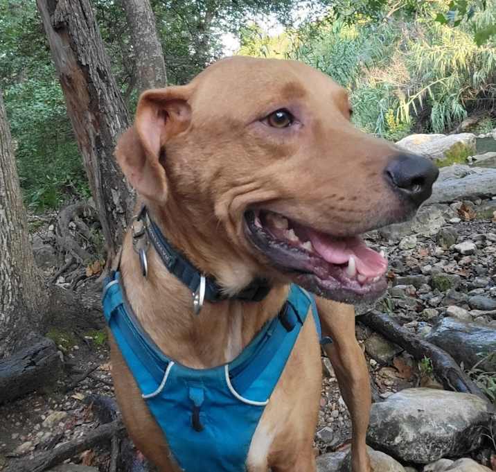 Photo of Neo
