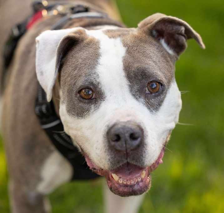 Photo of Kizzy