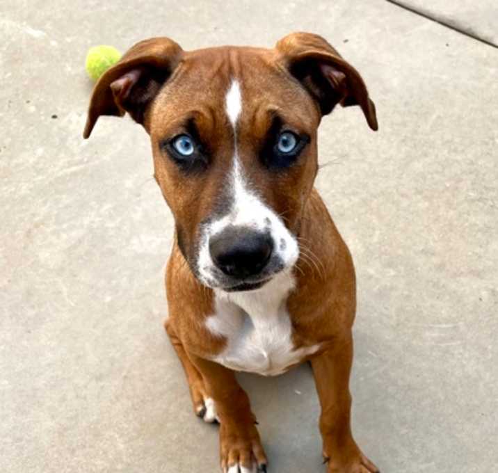 Photo of The Fonz-in Foster