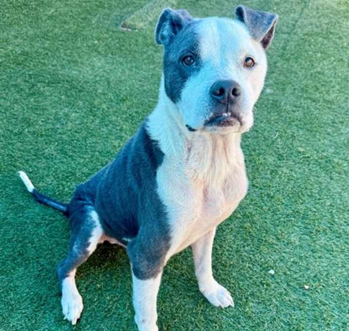 Photo of ACE
