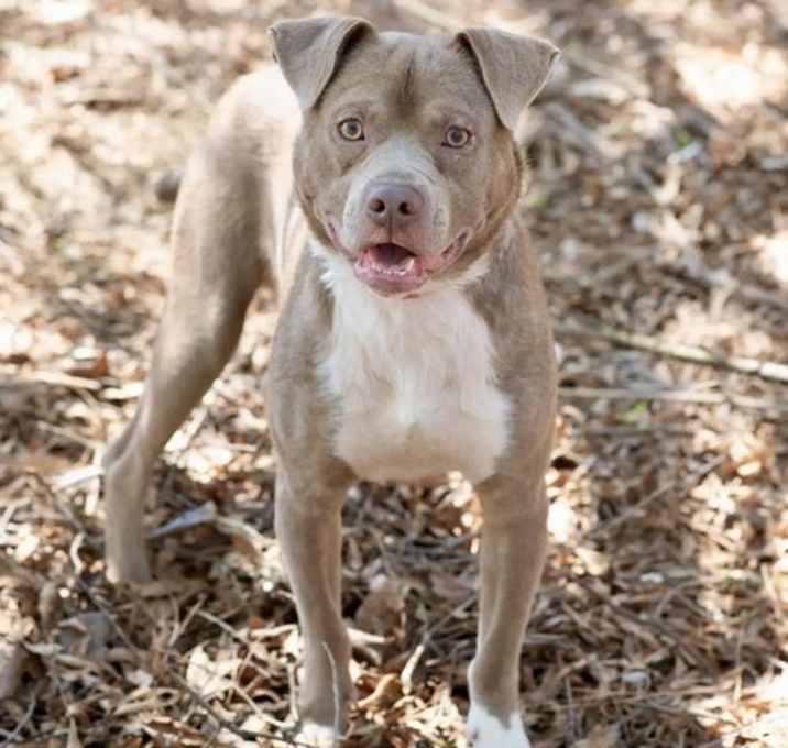 Photo of MAX