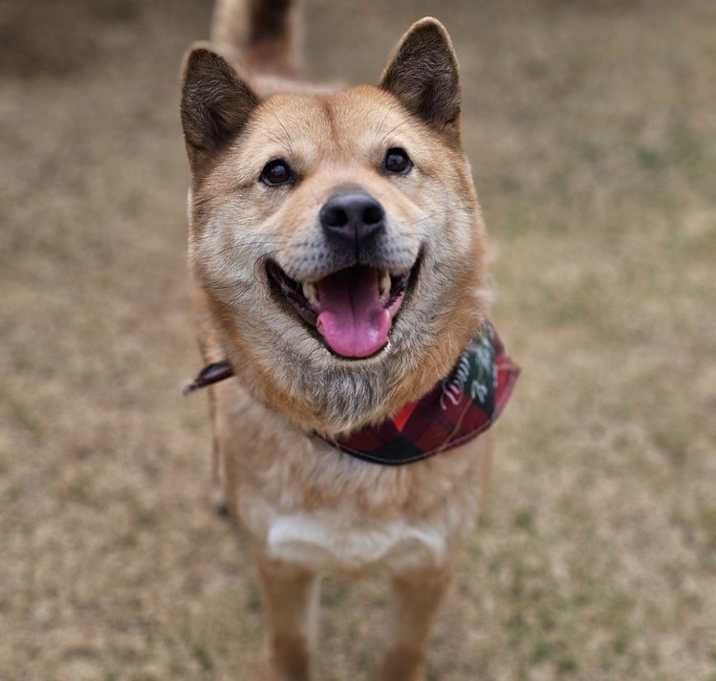 Photo of Jigu