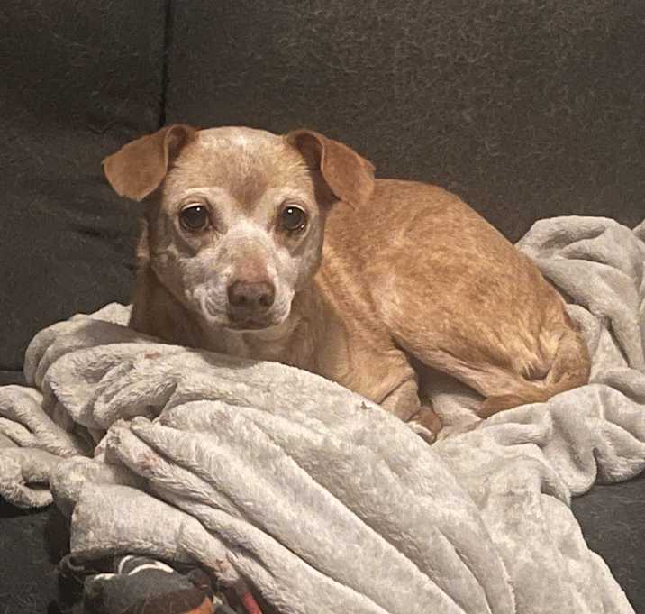 Photo of Myrtle