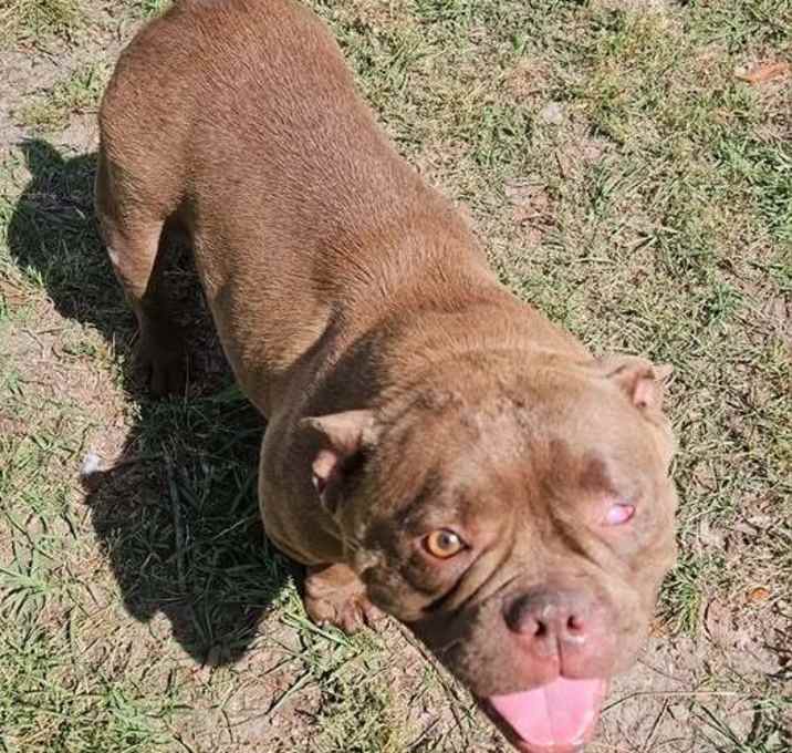 Photo of Millie