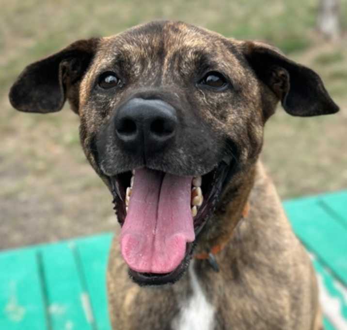 Photo of Hugo