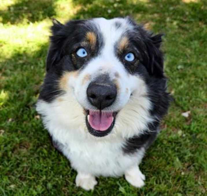 Photo of Frannie