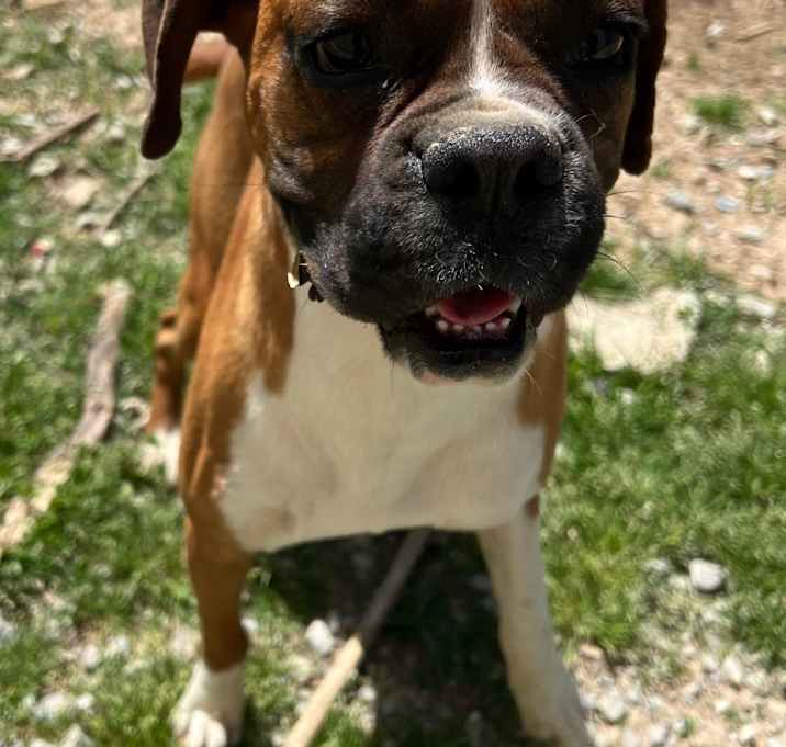 Photo of Missy