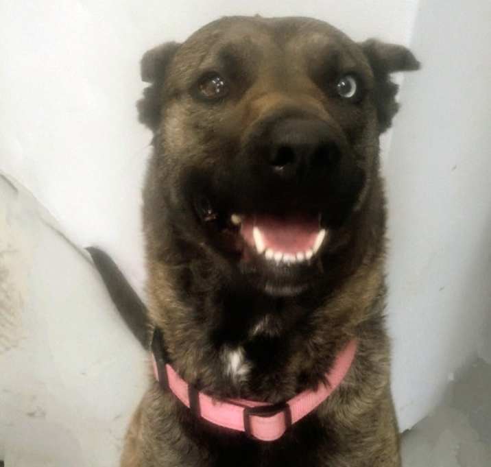 Photo of Leia