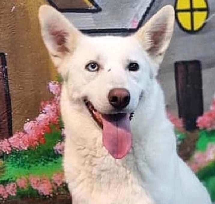 Photo of LUNAH (Mid-East) kt