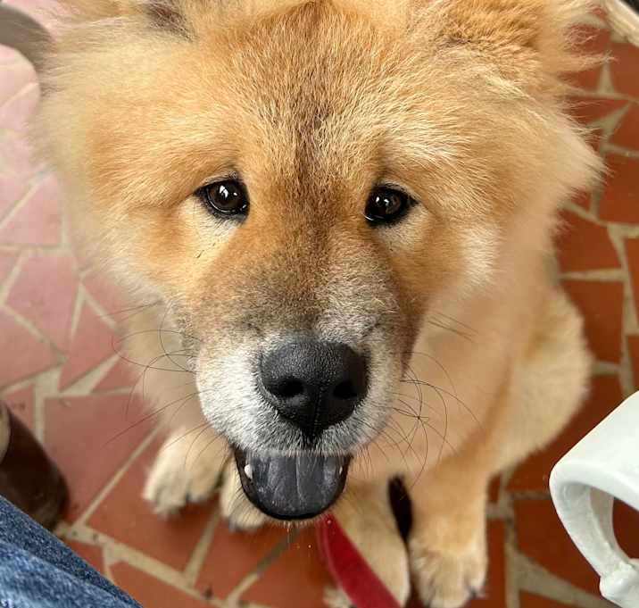 Photo of Happy