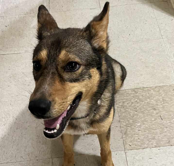 Photo of Kona