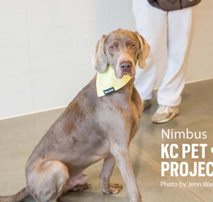 Photo of Nimbus