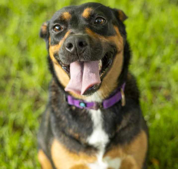 Photo of Betsy