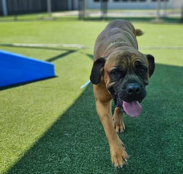Photo of Gus