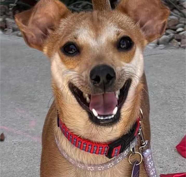 Photo of Ivy
