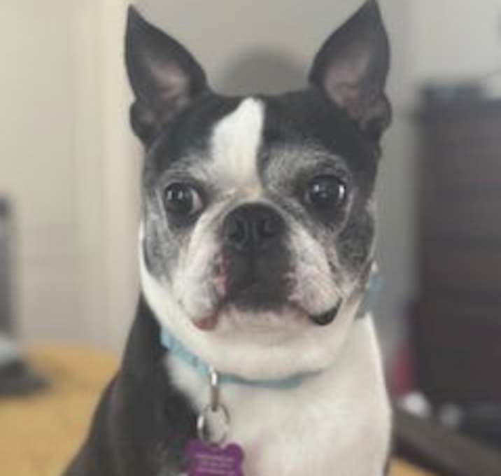 Photo of Stella Louise