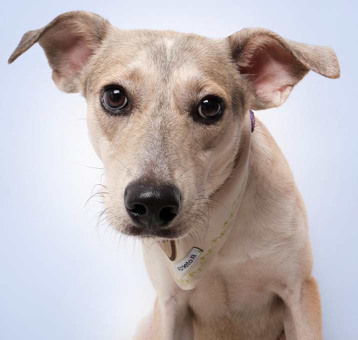 Photo of Isaac A