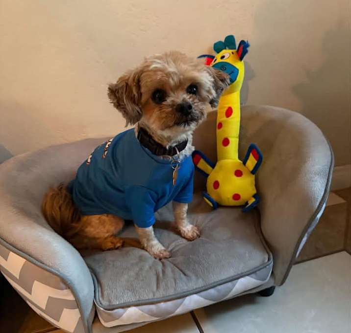 Photo of Pupsy