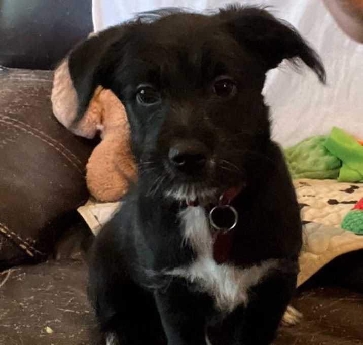 Photo of Jasper