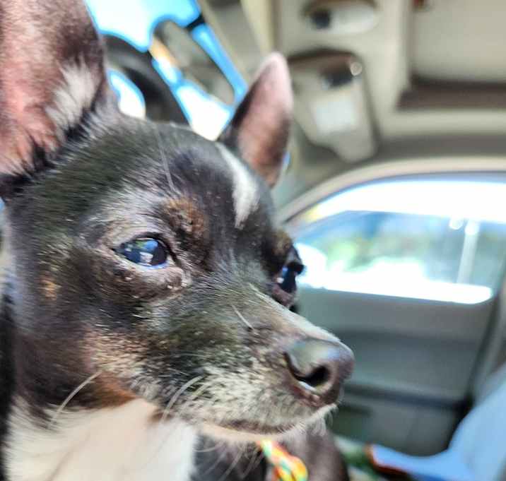 Photo of Sally Mae