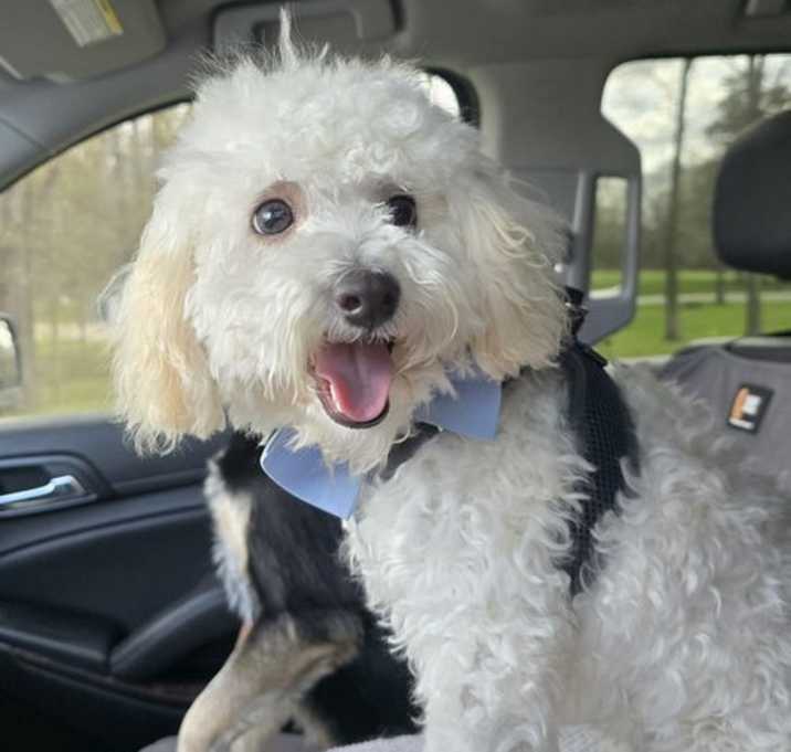 Photo of Fynn
