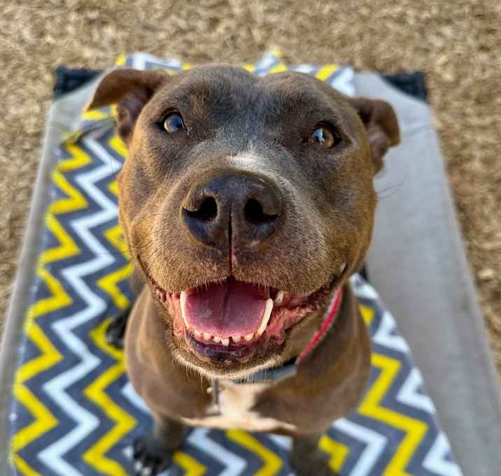 Photo of Lucy