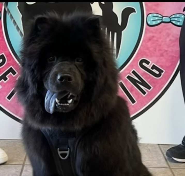 Photo of Grizzley
