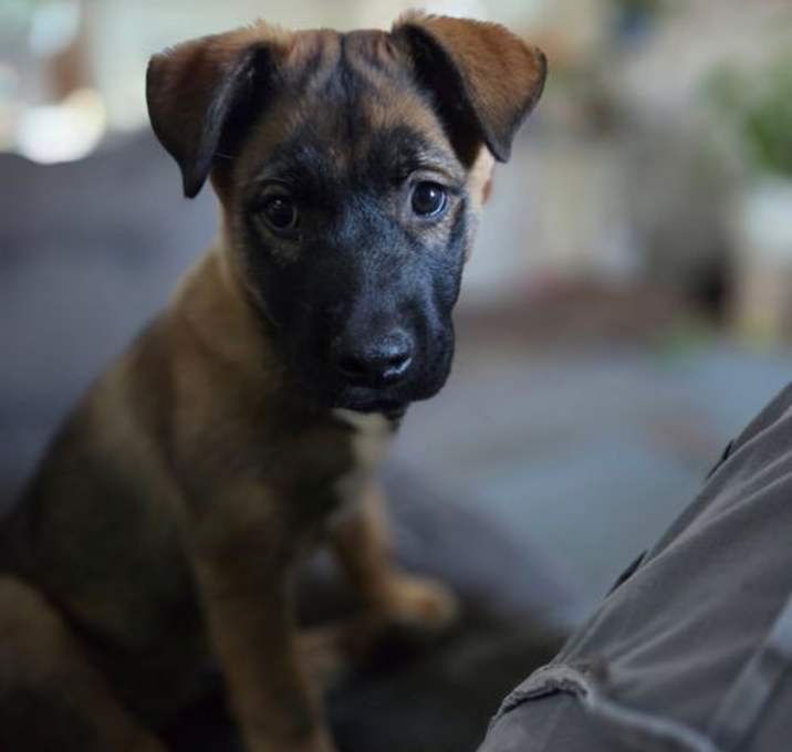 Photo of Finn