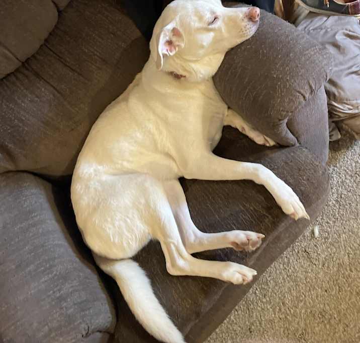 Photo of Baby