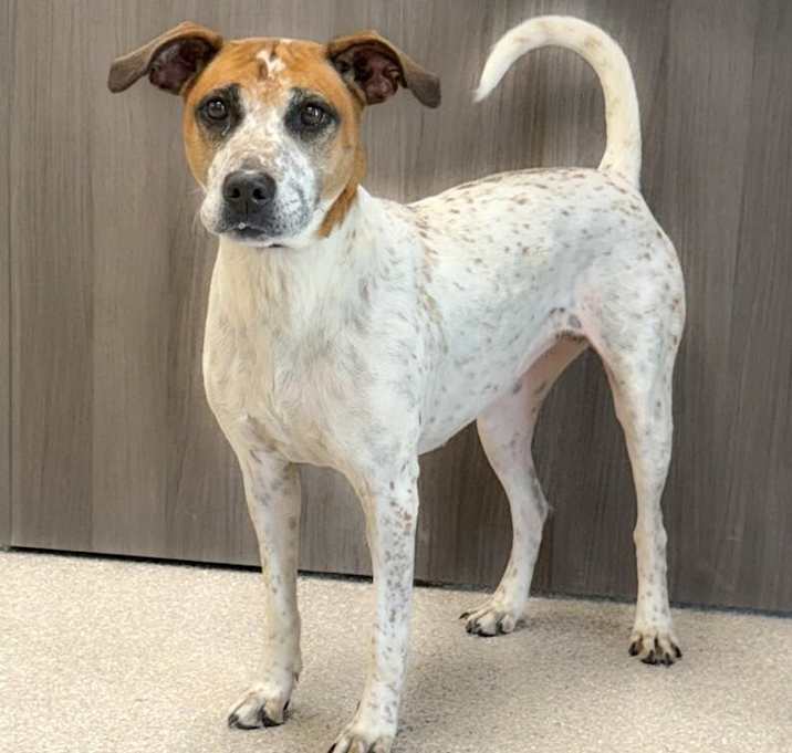 Photo of Ember