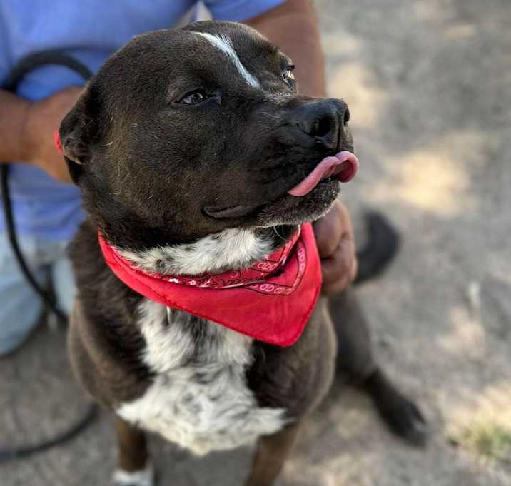Photo of MACY