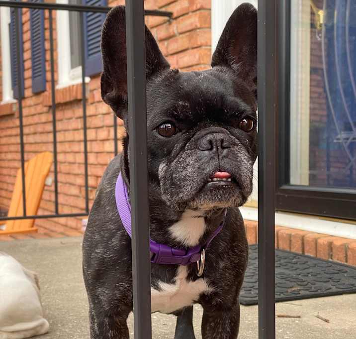 Photo of LULU