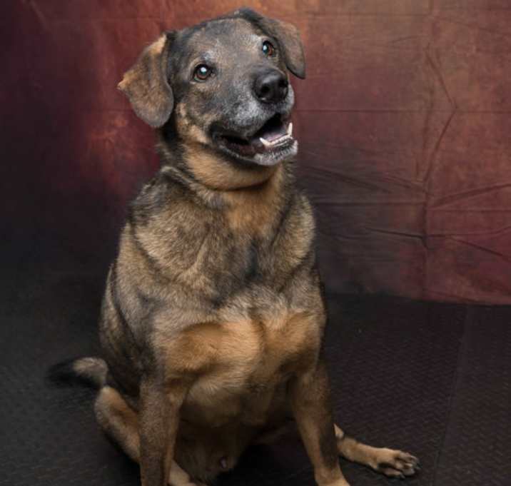 Photo of Rolo