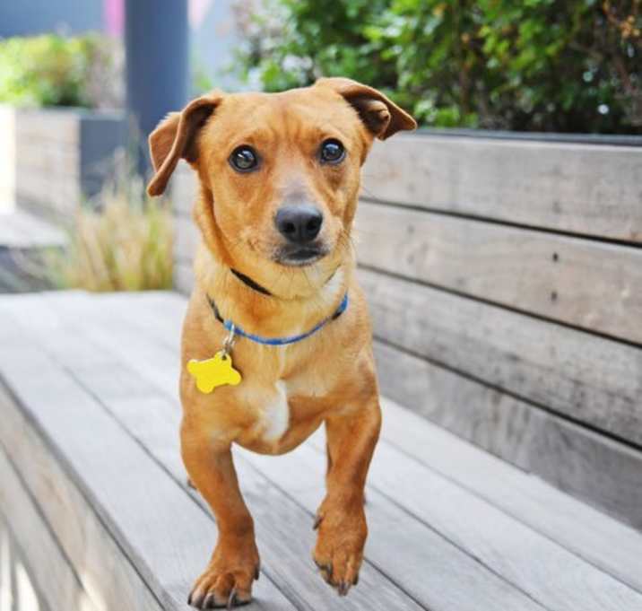 Photo of Lil Cooper