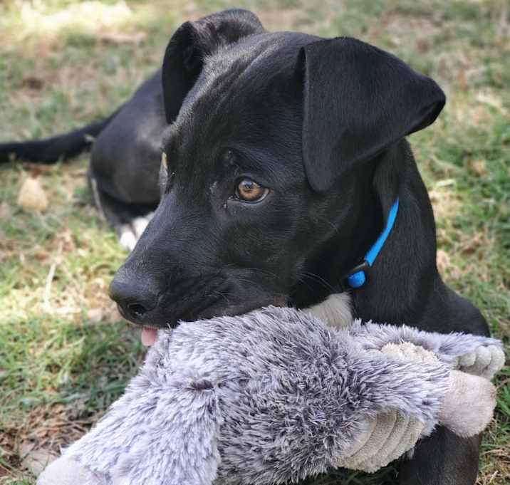 Photo of Asher