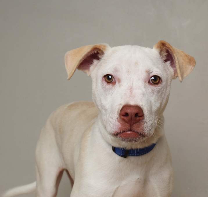 Photo of Atreyu D63735 