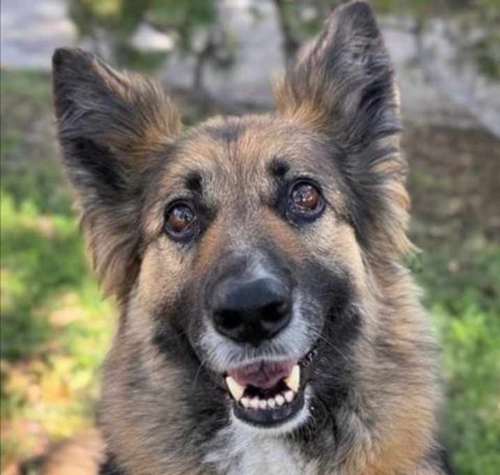 Photo of LAYLA